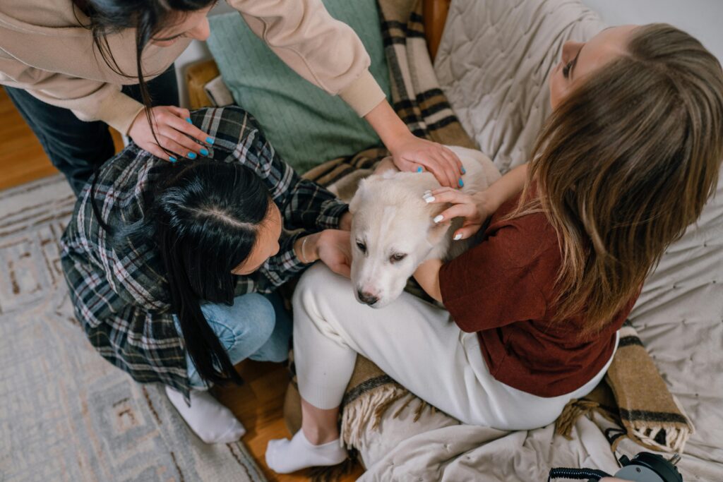 companionship